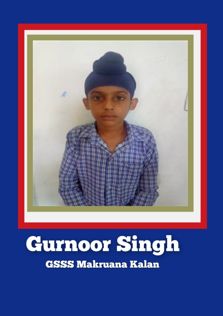 National INSPIRE Award Glory: Four Government School Students from Rupnagar Selected for National Inspire Award 4 Gurnoor singh, Makrauna Kalan