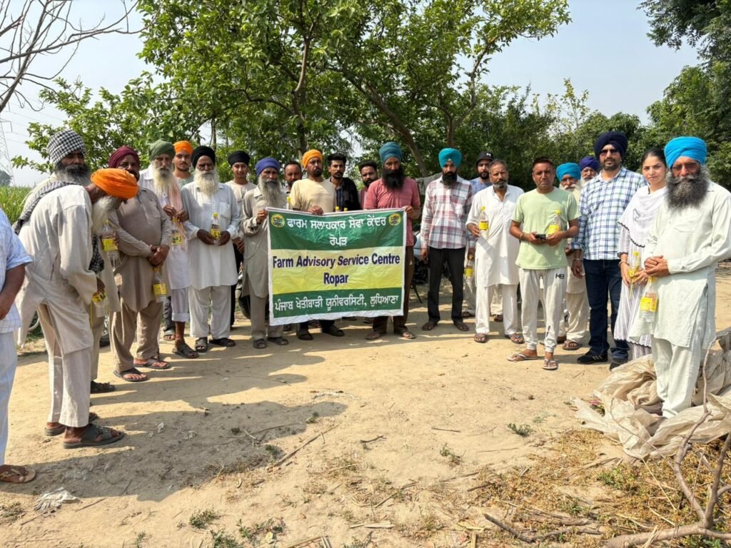 Agricultural Experts Inspect Paddy Nurseries, Offer Scientific Guidance to Farmers